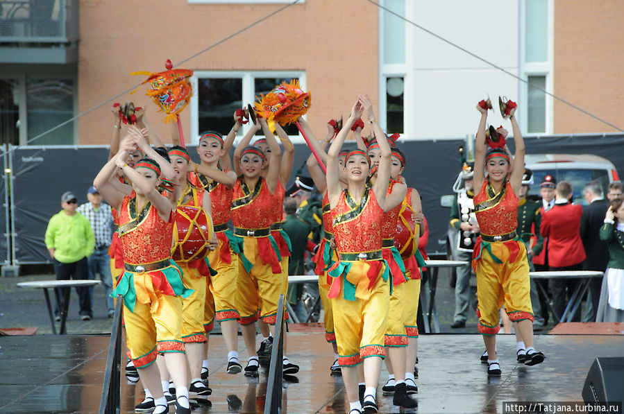 Ежегодный Международный фольклорный фестиваль Брюнссума Брюнссум, Нидерланды