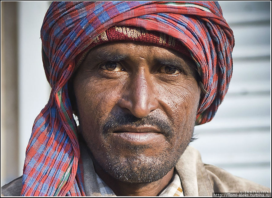 Я сфотографировал в Индии много интересных людей. И заметил одно — у всех у них смуглый загорелый цвет кожи и очень прямолинейный мужественный взгляд...
Продолжение портретной галереи индийцев следует...
* Матхура, Индия