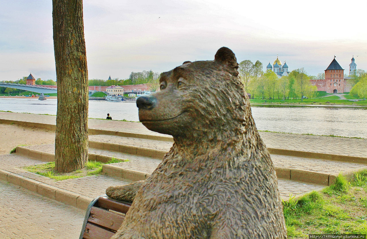 Великий Новгород. Медведь на скамейке Великий Новгород, Россия