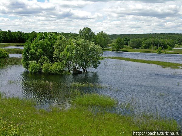 Беларусь фрагменты и зарисовки матушки природы Борисов, Беларусь