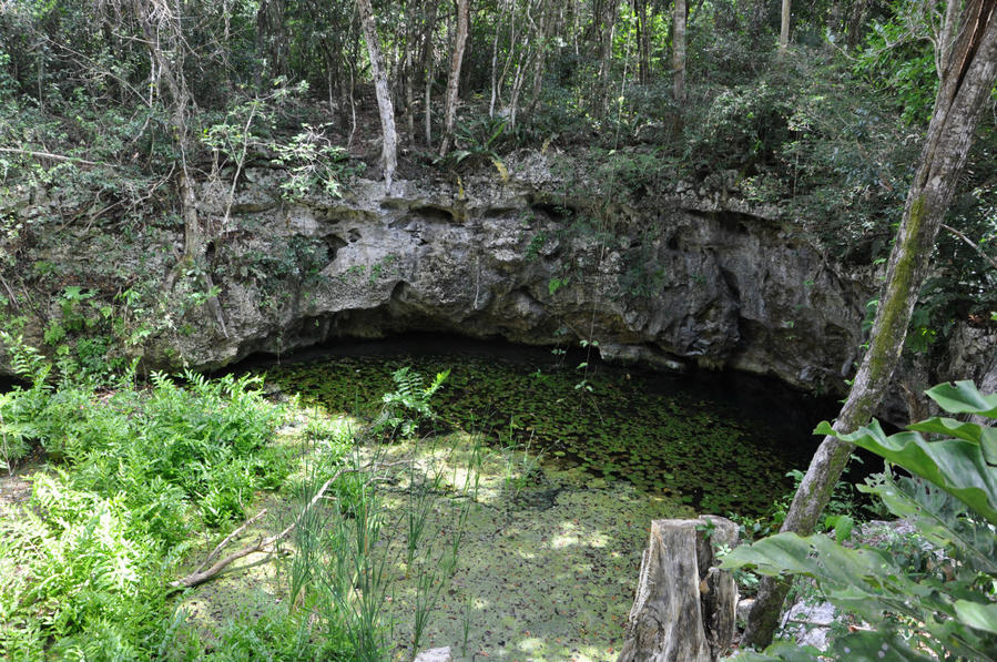 Сеноты — природное чудо Юкатана! Мексика