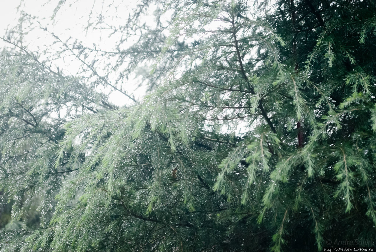 Озеро в Ревалсаре, Индия Штат Химачал-Прадеш, Индия