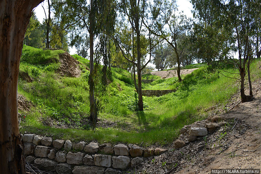 Террасы для укрепления почвы и сбора воды. В Негеве нет достаточно воды, чтобы вырастить растения, которые бы укрепили почву, но есть достаточно дождей, чтобы эту почву размыть.