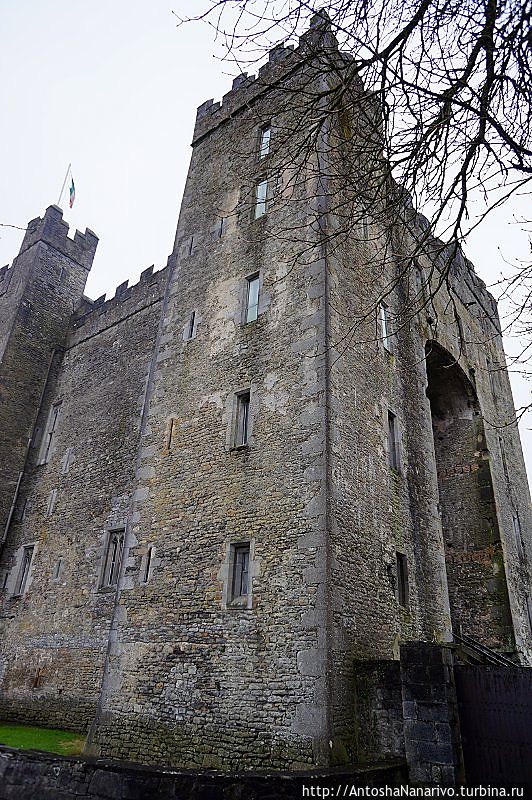 Замок Бунратти Графство Клэр, Ирландия