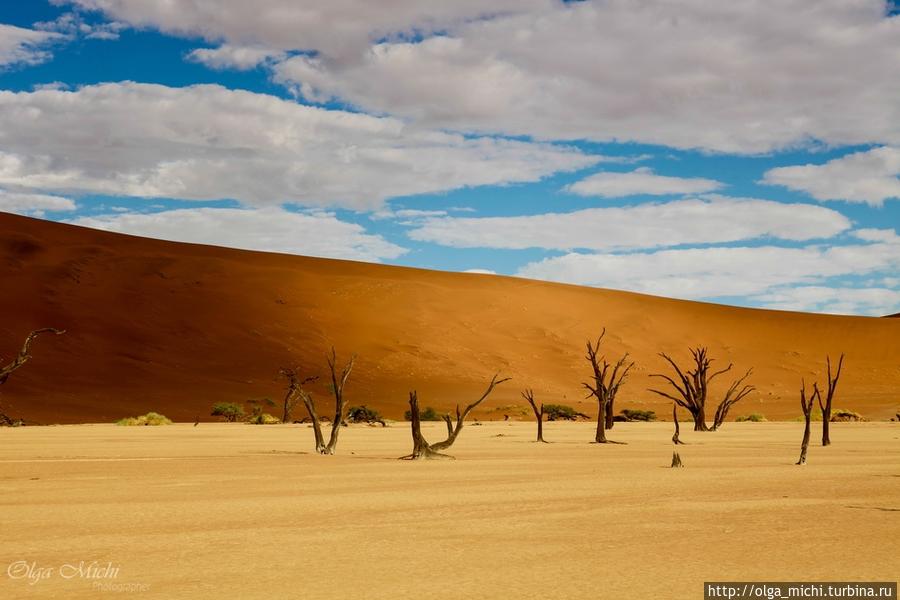 Знаменитая Мертвая долина (Deadvlei)