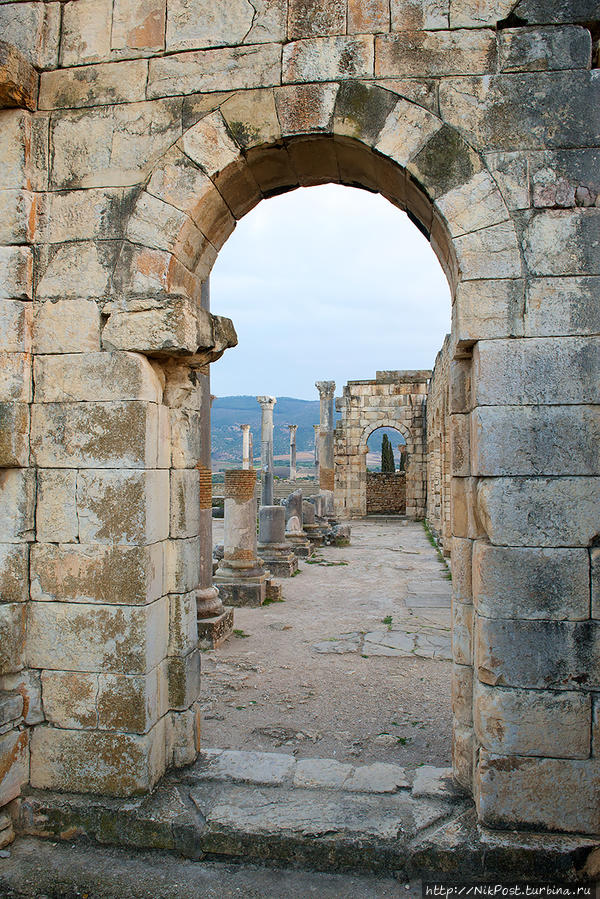 Volubilis Марокко