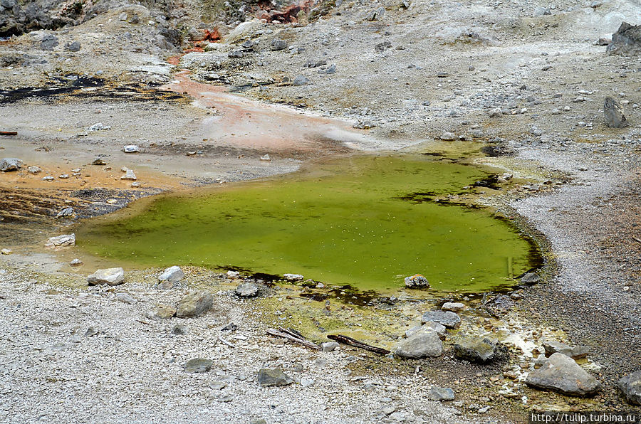 В потрясающем Йеллоустоуне сердце замирает от необычной красоты!