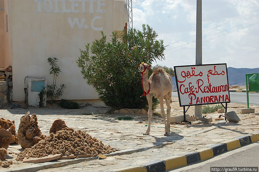 Панорама / Panorama