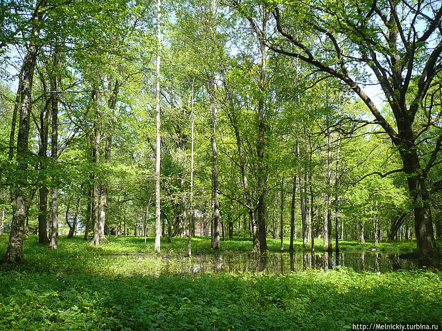 Витославлицы Великий Новгород, Россия