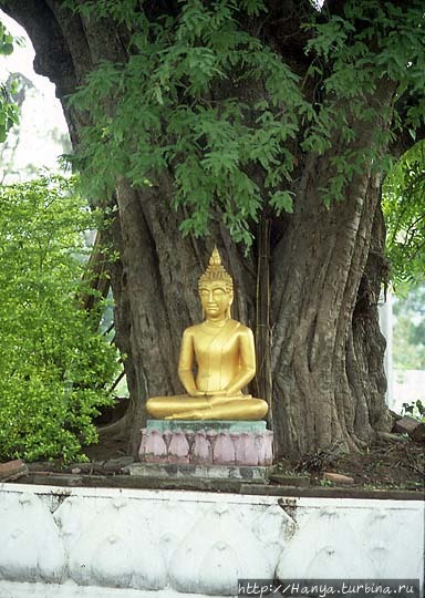 Ват Тхат Луанг. Будда в п