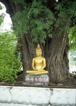 Ват Тхат Луанг. Будда в позе Дхьяна мудра (Dhyani-Mudra – это мудра сосредоточенности, медитации). Фото из интернета