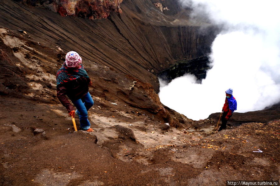Искатели   монет  на  стенах  кратера.  Риск  упасть  в  жерло  вулкана   очень   велик,  тем   не  менее    они   занимаются   этим. Бромо-Тенггер-Семеру Национальный Парк, Индонезия