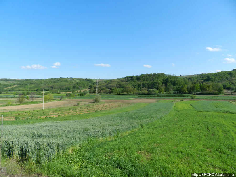 Экскурсия в Жупу Александровац, Сербия