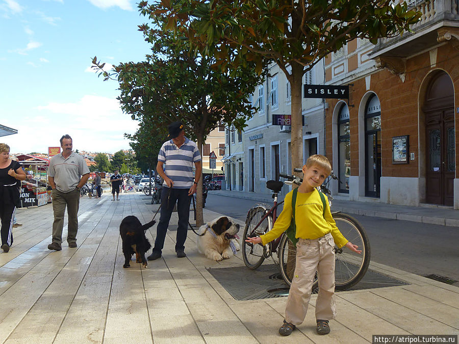 Люди и собаки Врсар, Хорватия