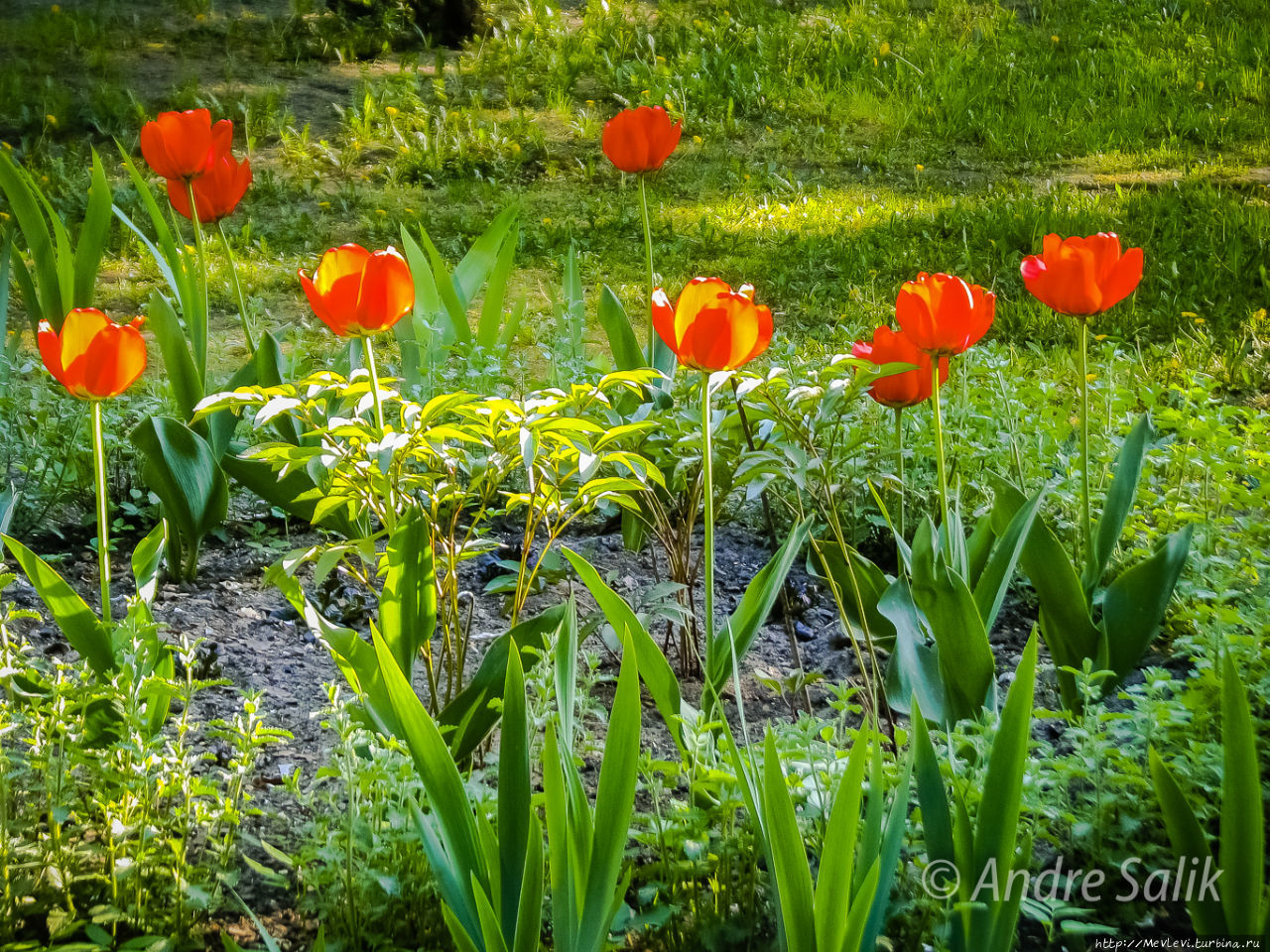 Был месяц май Рига, Латвия