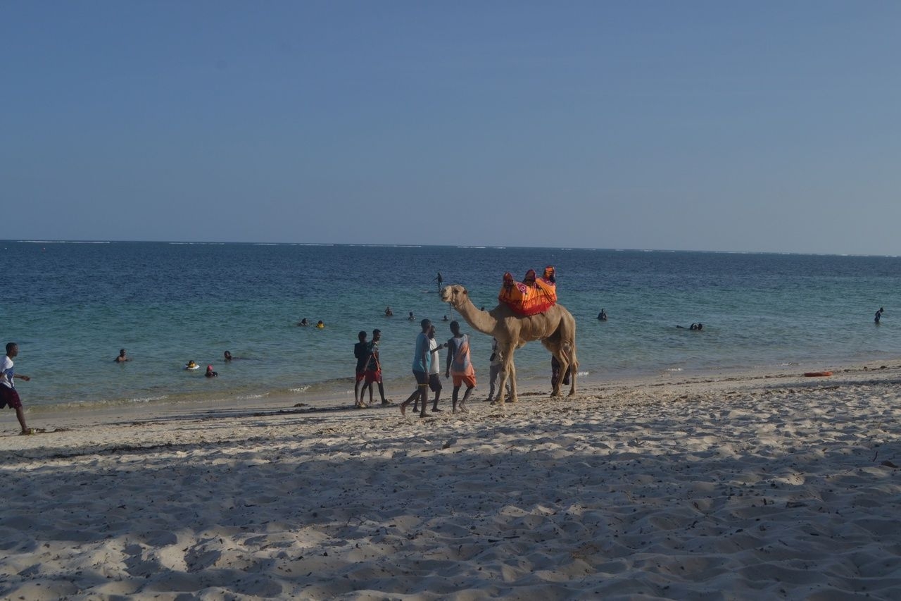 пляж Бамбури Момбаса, Кения