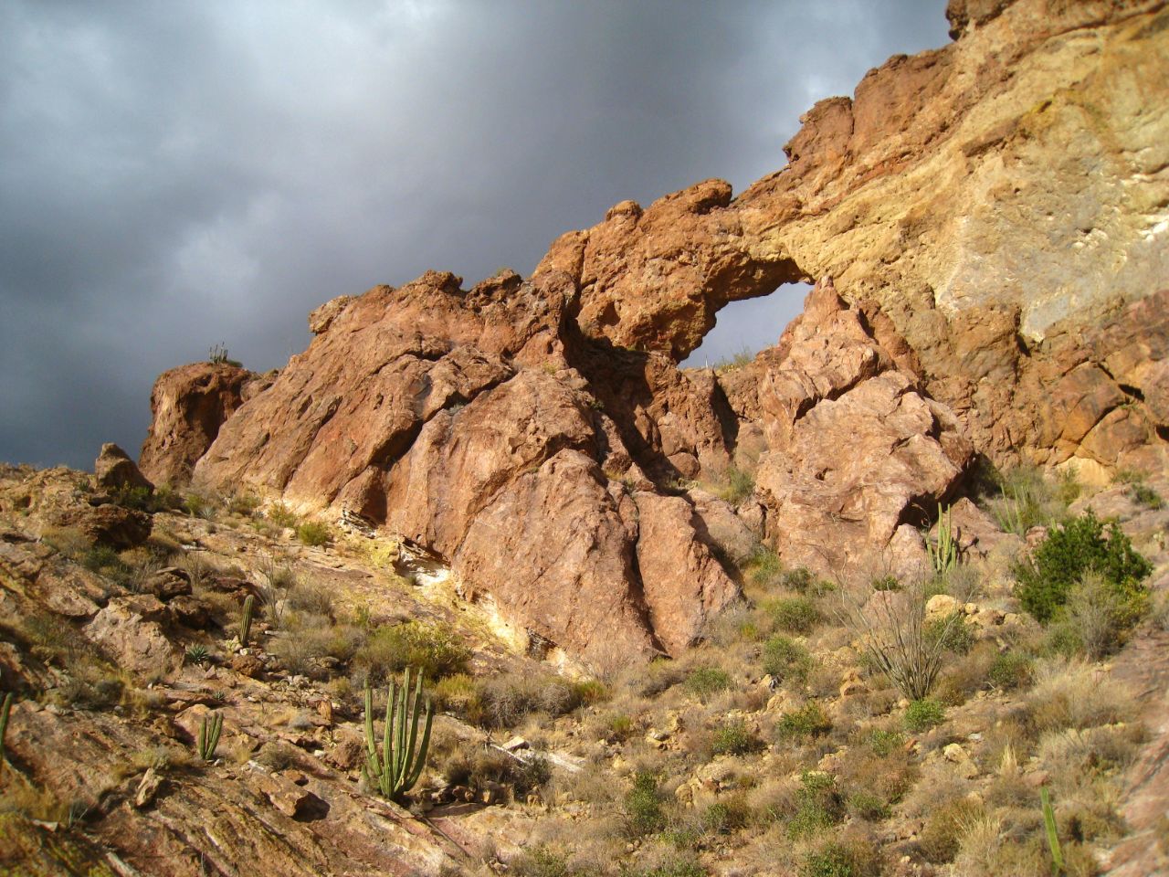 Красивые и необычные чудеса природы, Аризона, 10 часть. Национальный парк Орган Пайп Кактус, CША