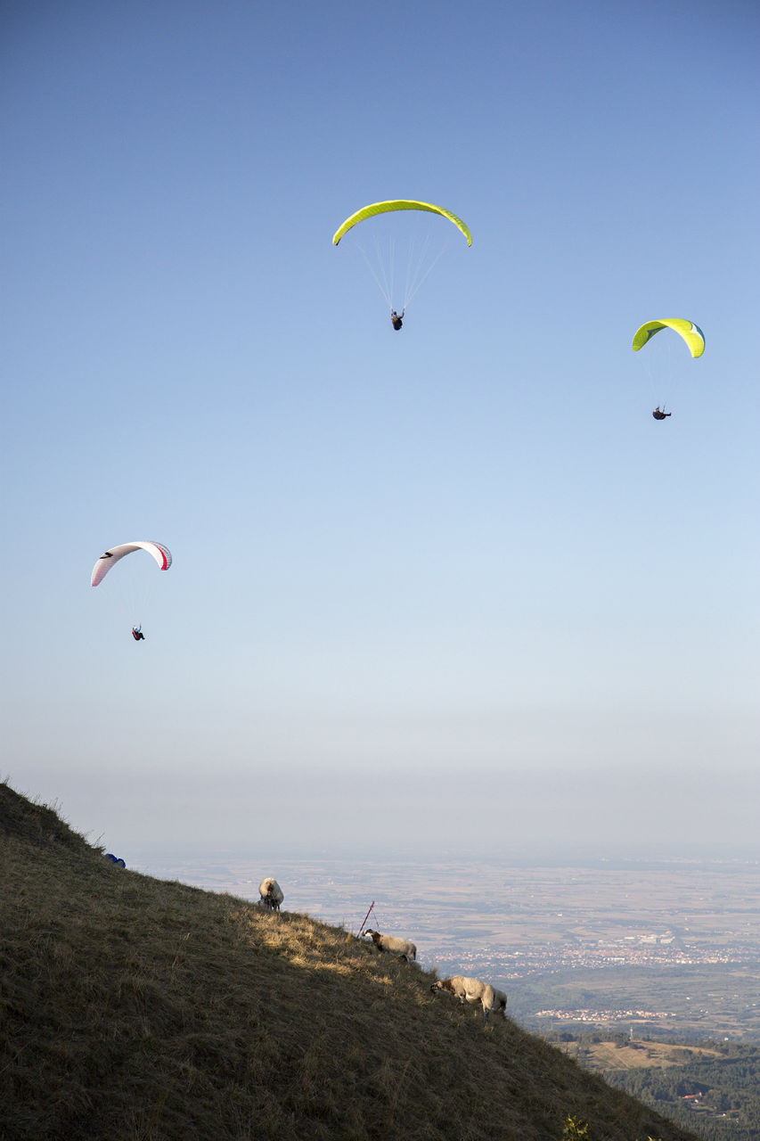 Поездка на Тран панорамик Овернь, Франция
