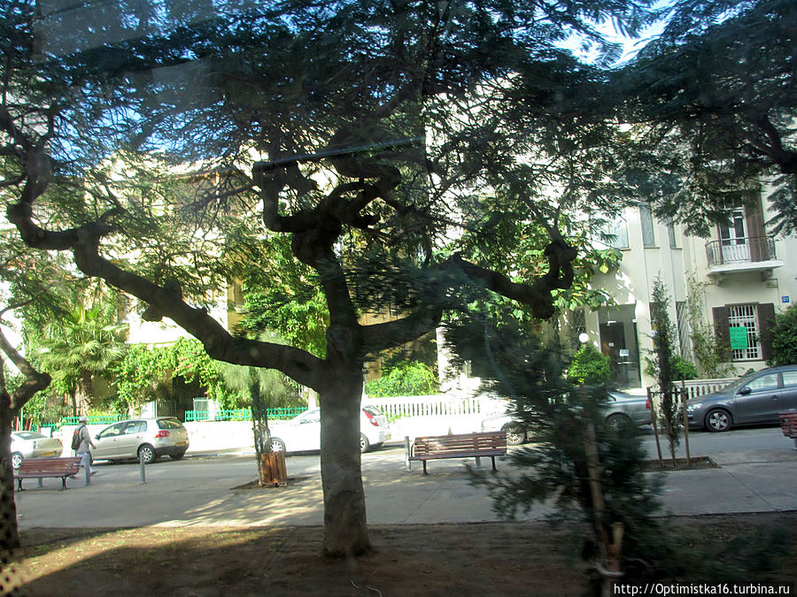 Тель-Авив из окна экскурсионного автобуса. Часть 1 Тель-Авив, Израиль