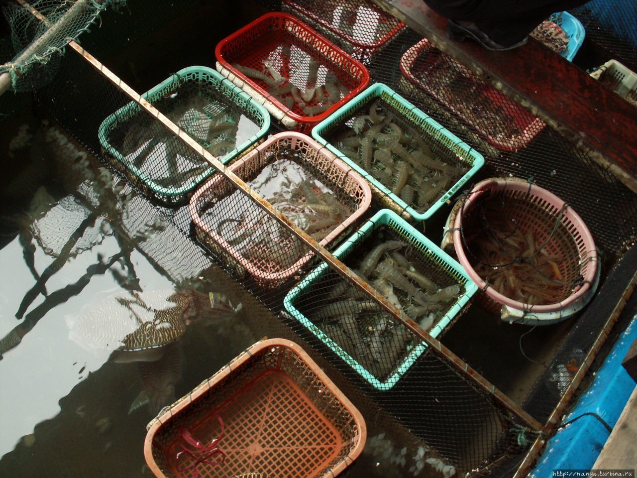 Бухта Халонг. Плавучий рыбный рынок Халонг бухта, Вьетнам