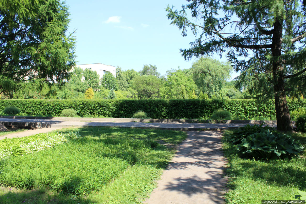 Ботанический сад Витебского гос. университета Витебск, Беларусь
