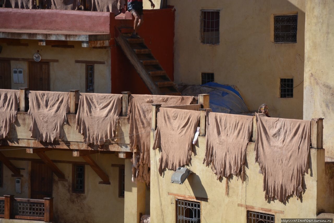 Квартал кожевенников (красильщиков) Фес, Марокко