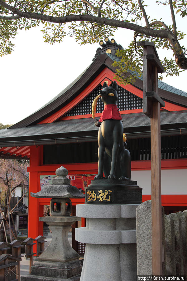 Киото. Fushimi Inari Shrine Киото, Япония