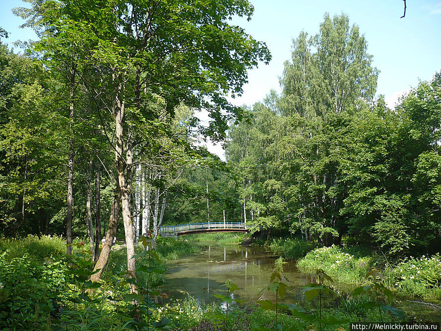 Невский лесопарк Санкт-Петербург, Россия