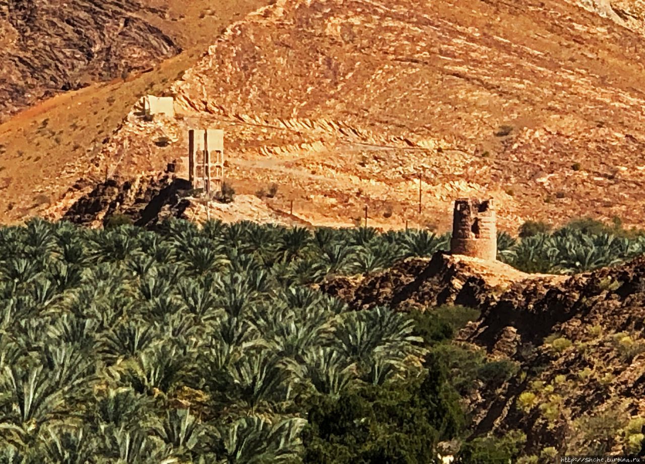 Фаладж-аль-Катмиин Биркат-аль-Муз, Оман