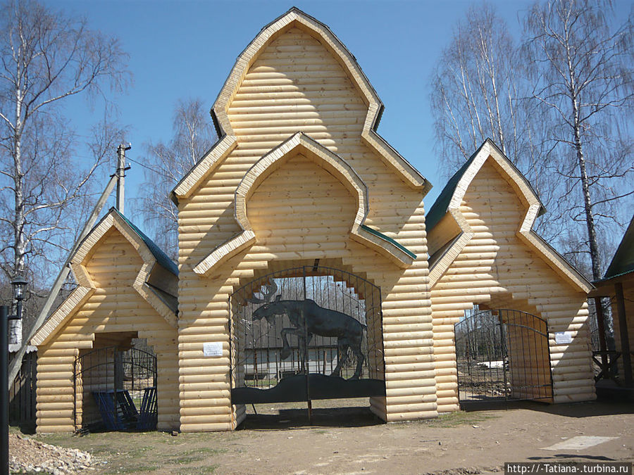 Грачи прилетели Костромская область, Россия