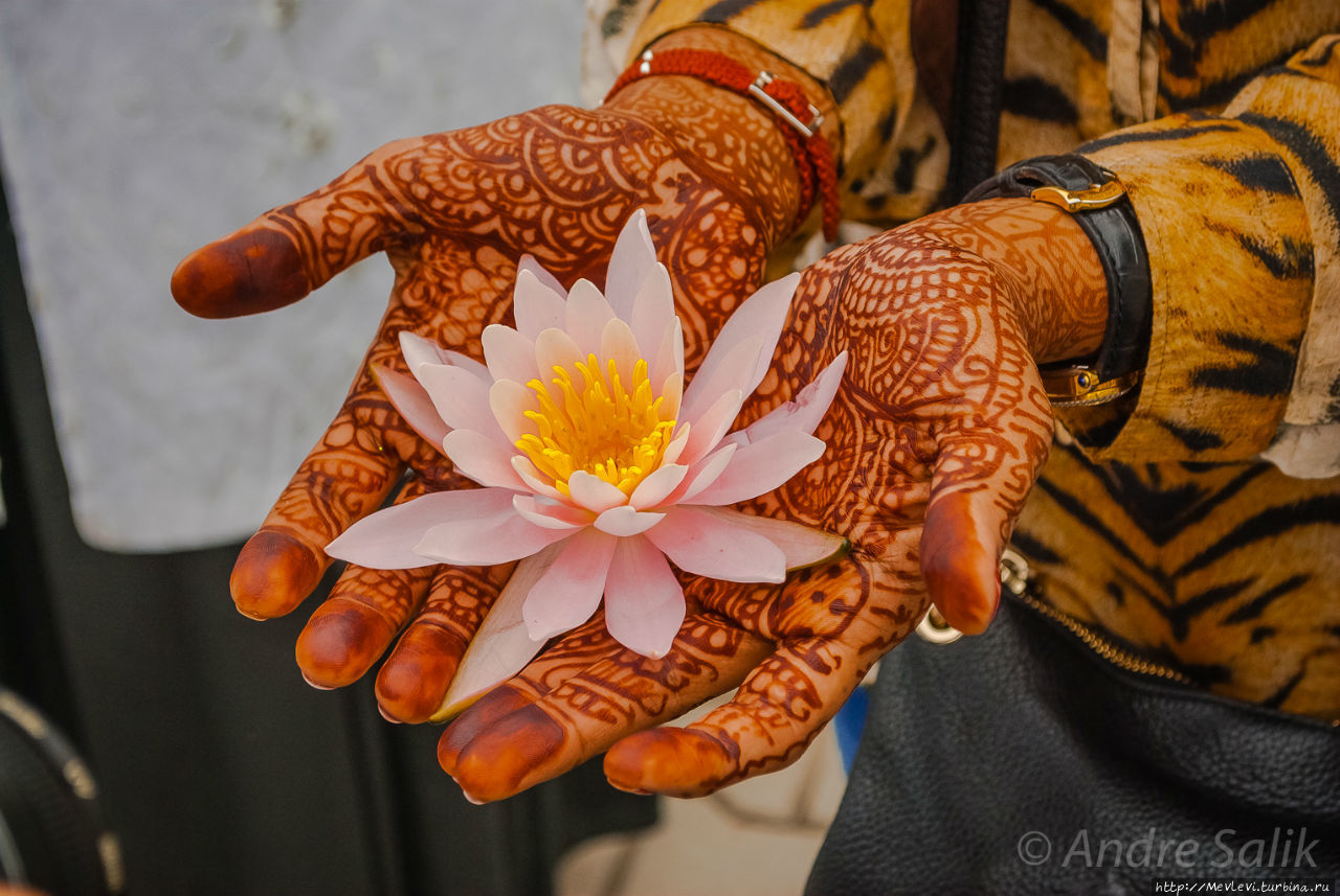 Озеро Дал. Портреты