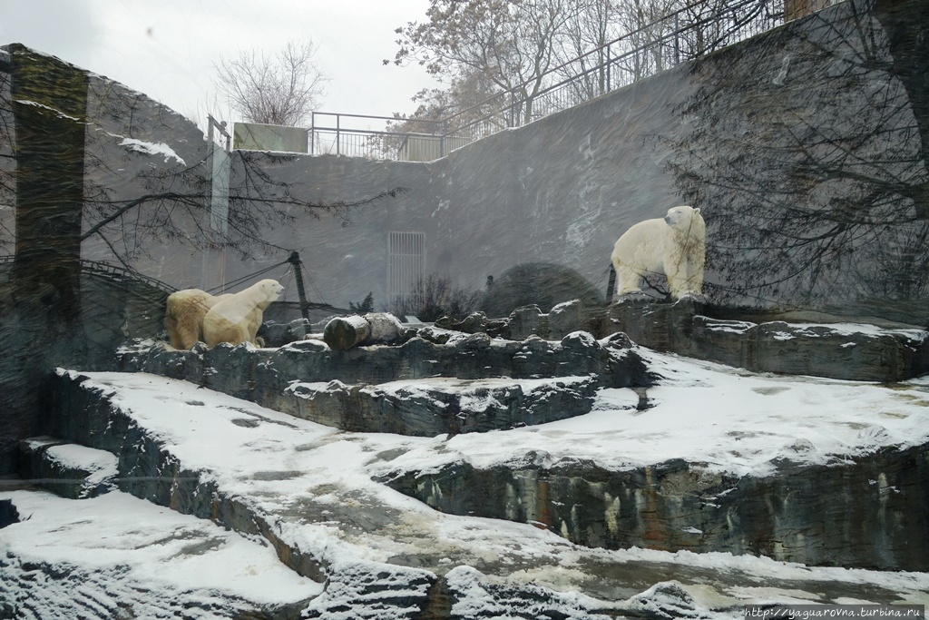 Пражский зоопарк Прага, Чехия