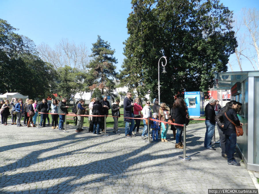 Встречи на улицах города Стамбул, Турция