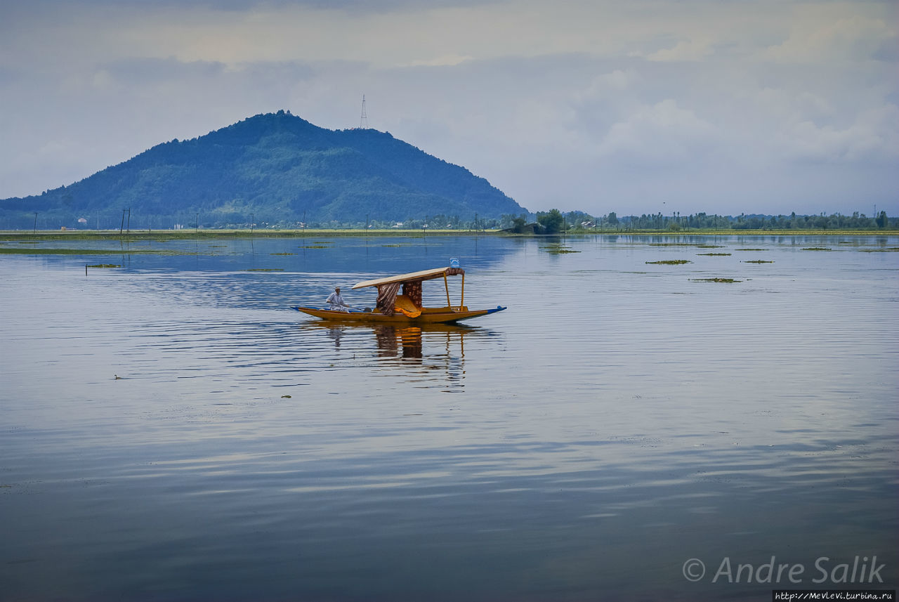 Озеро Дал и его обитатели Шринагар, Индия