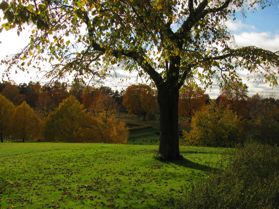 Осень. Не надо 