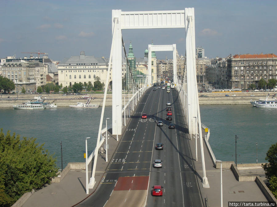 Вид с горы на мост Эржебет Будапешт, Венгрия