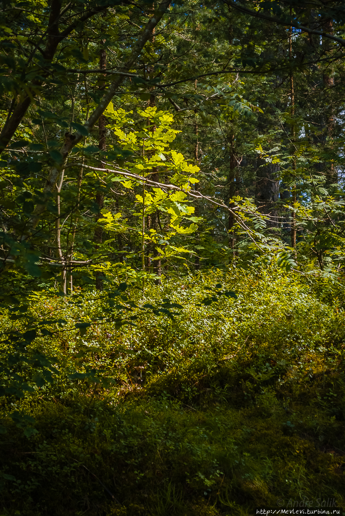 Юрмальский музей под открытым небом Юрмала, Латвия