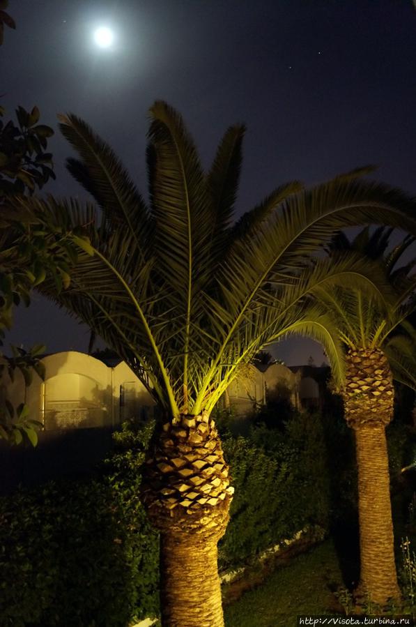 вид из номера ночью Хаммамет, Тунис