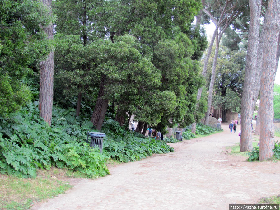 Палатин Рима. Рим, Италия