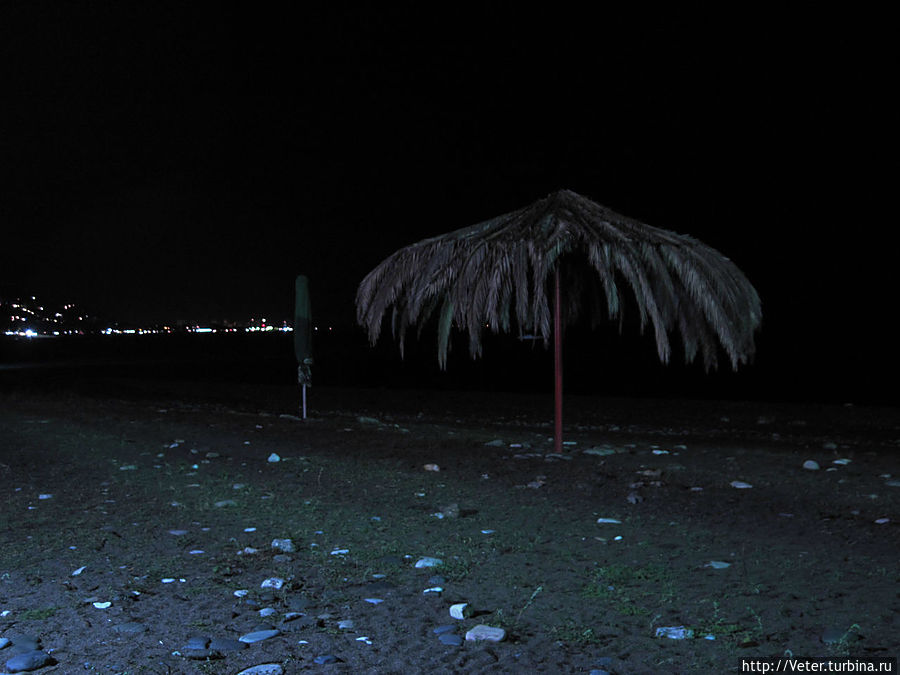 Импровизированная пальма на побережье с которой, по славам нашего нового знакомого, очень любят фотографироваться приезжие. Гагра, Абхазия