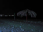Импровизированная пальма на побережье с которой, по славам нашего нового знакомого, очень любят фотографироваться приезжие.