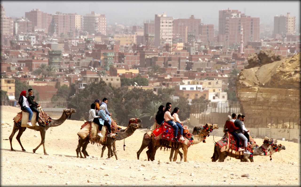Фото местных жителей египта