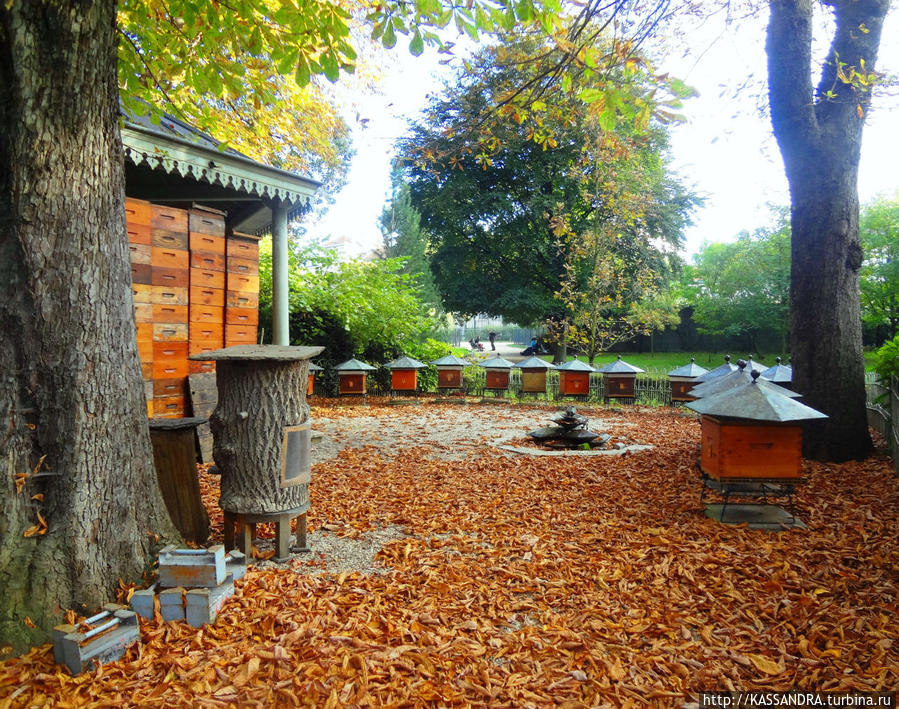 Люксембургский  сад. Пчелы отдельно... Париж, Франция