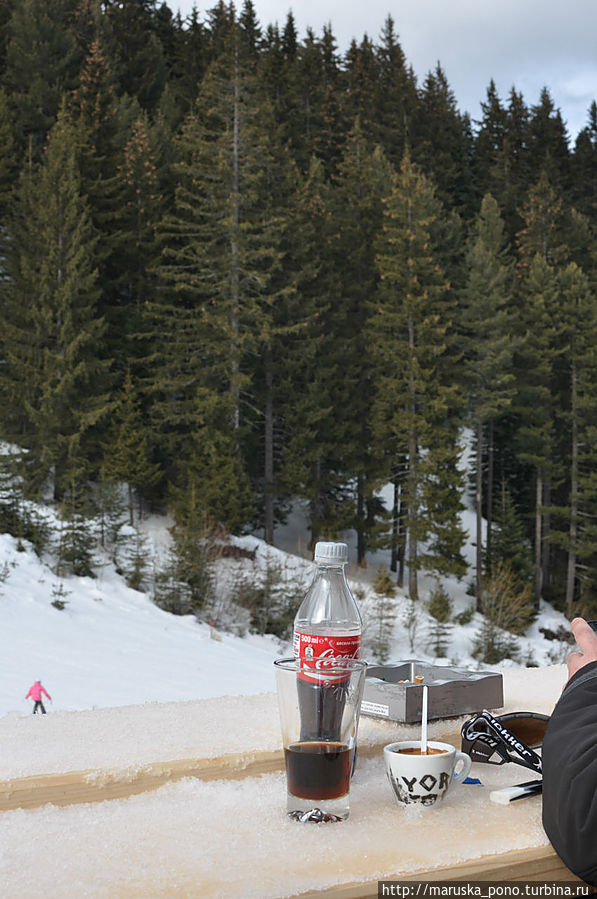 Ланч катальщика