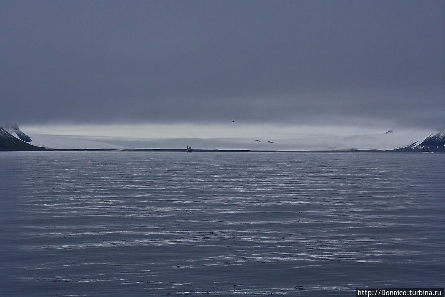 Кит на море романтик Земля Франца-Иосифа архипелаг, Россия