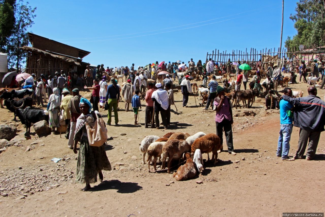 Воскресный рынок Лалибелы Лалибела, Эфиопия