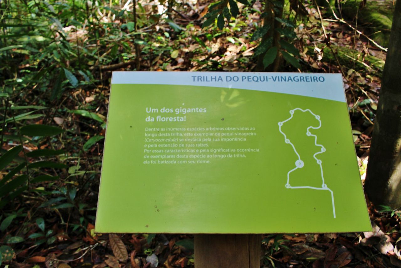 Зона посещения заповедника Линьярес лесной резерват, Бразилия