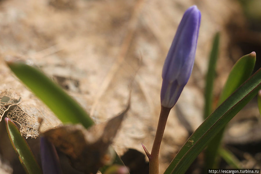 Краски апреля Беларусь