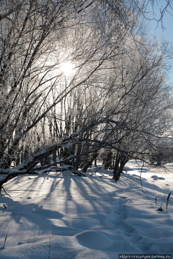 Вот и прошла моя зима на Камчатке Быстринский Природный Парк, Россия