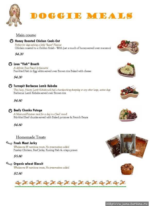 Калифорния — это собачий рай!